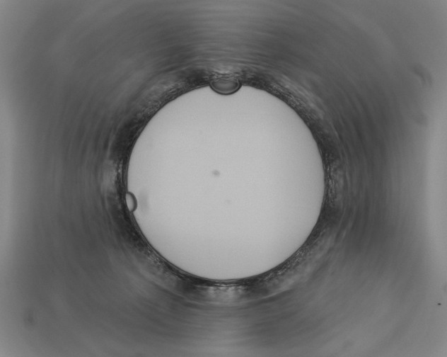 X0000113060225200909250915