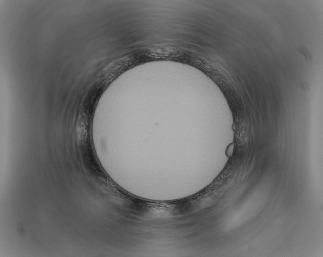 X0000113060226200909250915