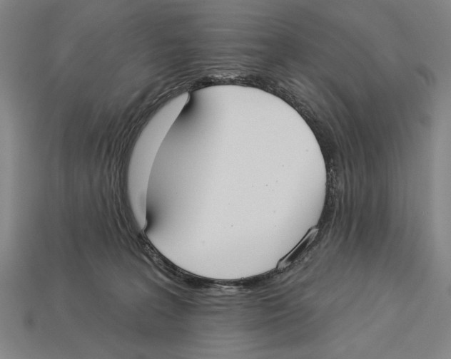 X0000113060227200909250915