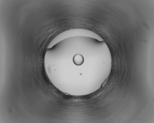 X0000113060228200909250915