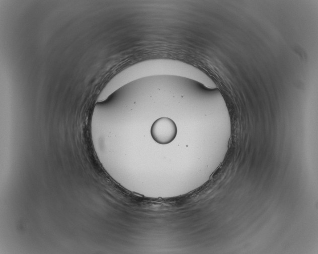 X0000113060229200909250915