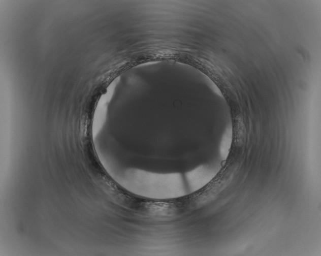 X0000113060230200909250915