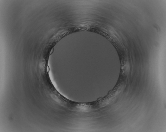 X0000113060231200909250915