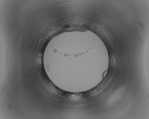 X0000113060232200909250915