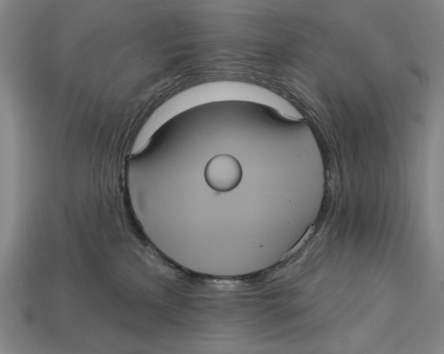 X0000113060233200909250915