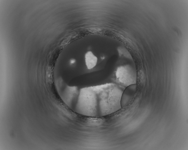 X0000113060234200909250915