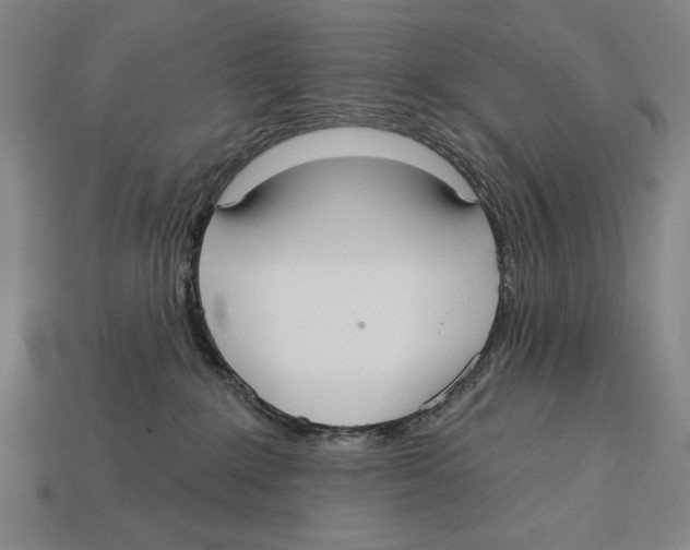 X0000113060235200909250915