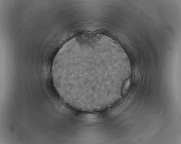 X0000113060236200909250915