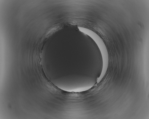 X0000113060237200909250915