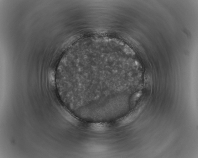 X0000113060238200909250915