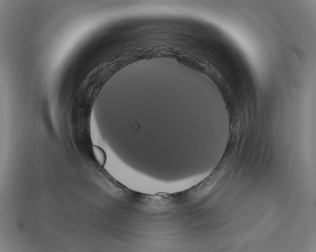 X0000113060239200909250915