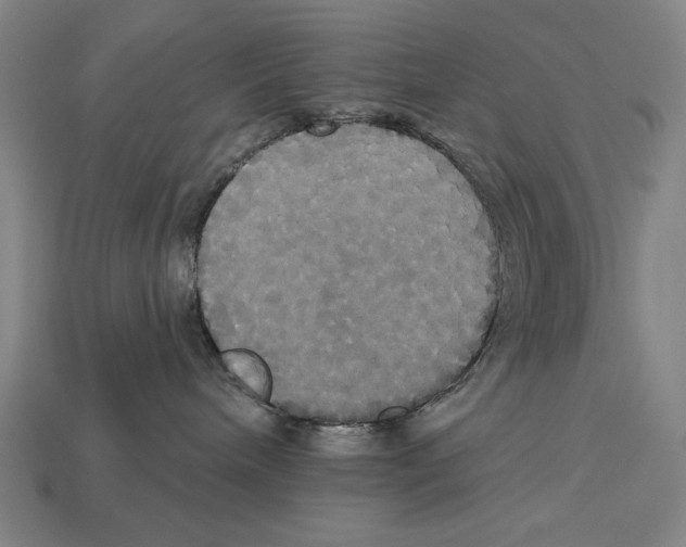 X0000113060240200909250915