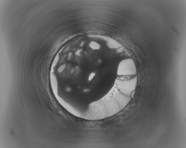 X0000113060241200909250914