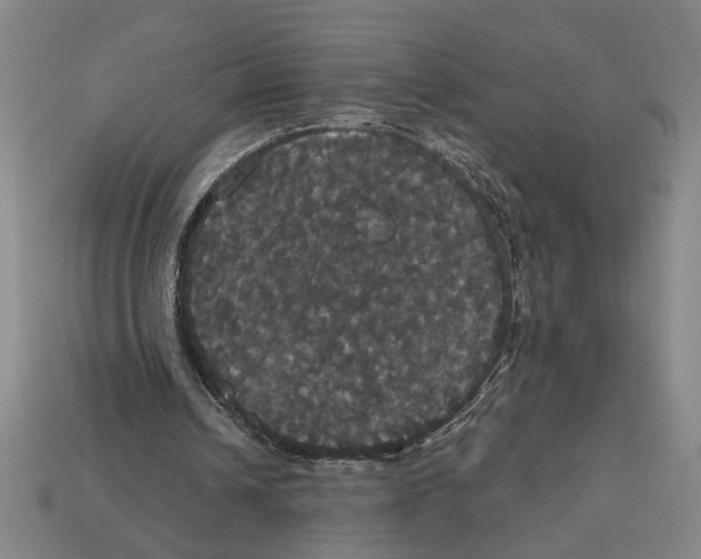 X0000113060242200909250914