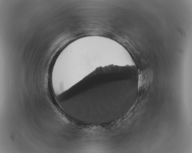 X0000113060243200909250914