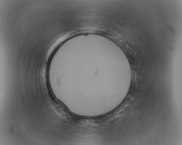 X0000113060244200909250914