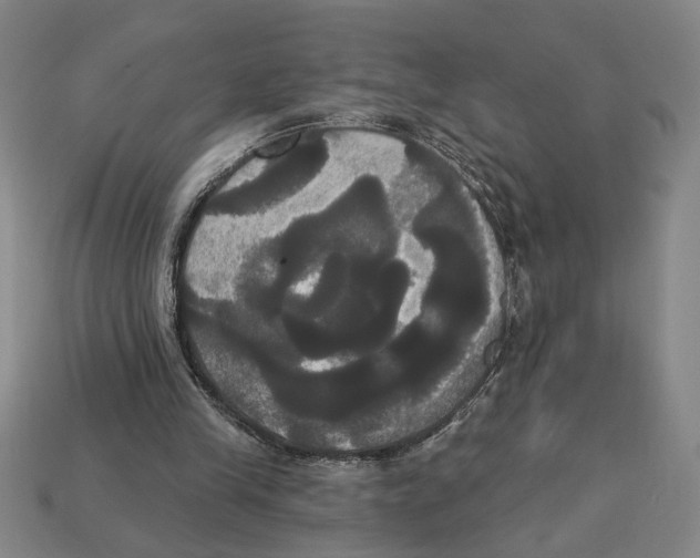 X0000113060245200909250914