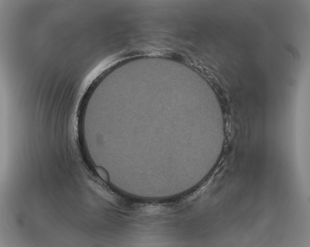 X0000113060246200909250914