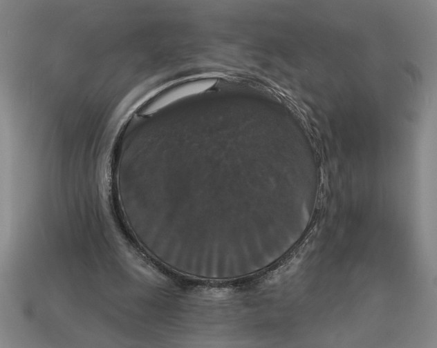 X0000113060247200909250914