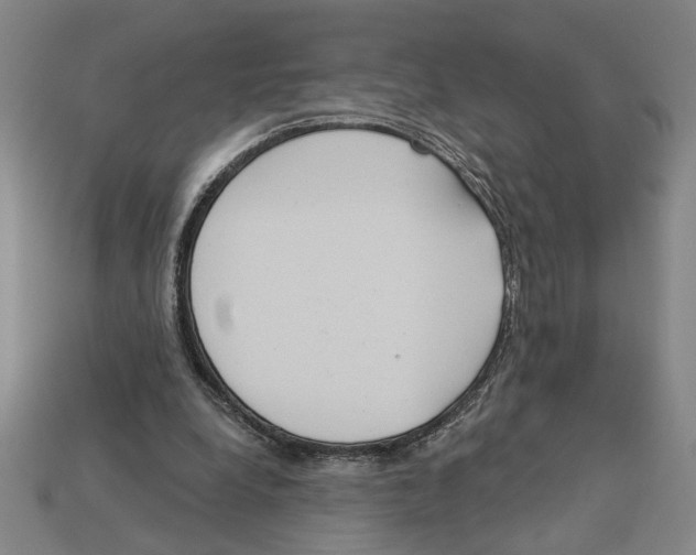 X0000113060248200909250914