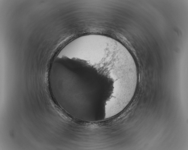 X0000113060249200909250914