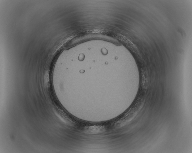 X0000113060251200909250914