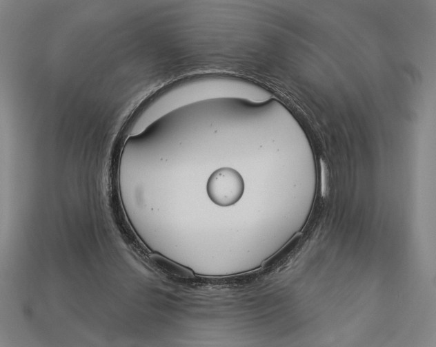 X0000113060252200909250914