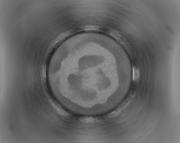 X0000113060253200909250914