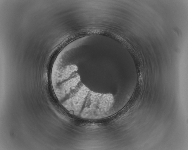 X0000113060254200909250914