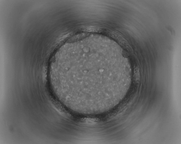 X0000113060255200909250914