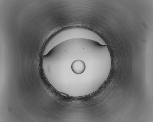 X0000113060256200909250914