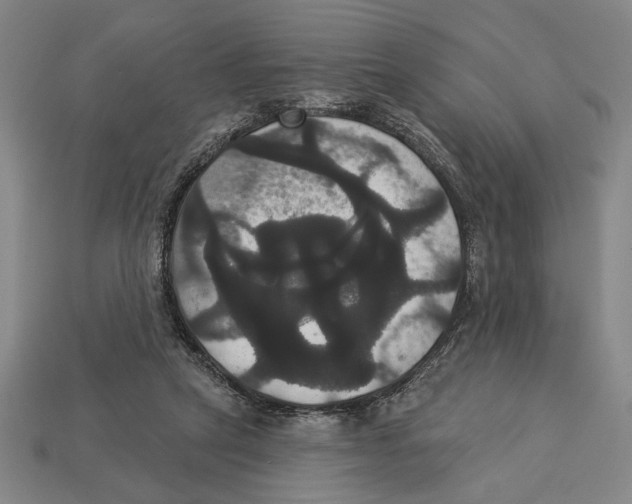 X0000113060257200909250914