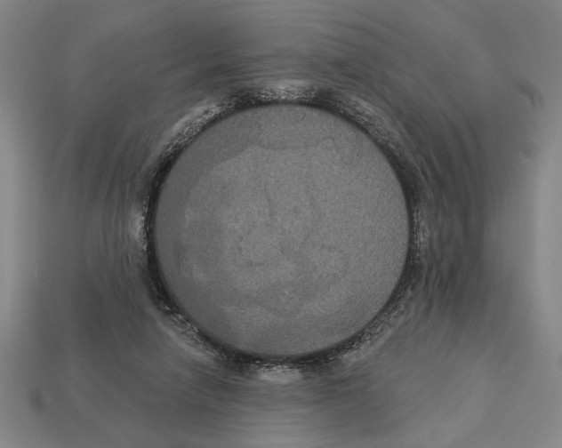 X0000113060258200909250914