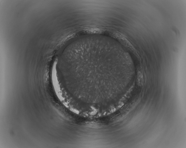 X0000113060259200909250914