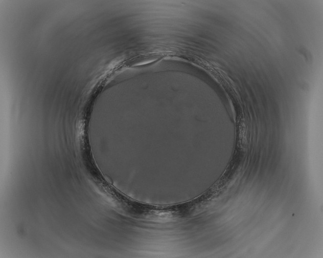 X0000113060260200909250914