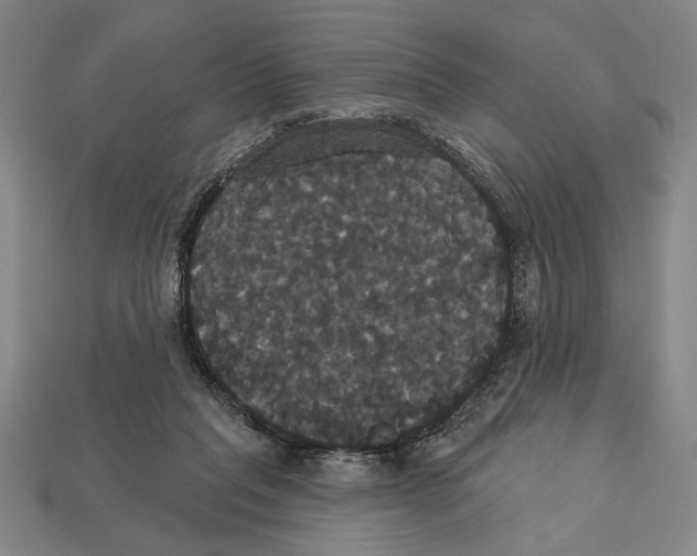 X0000113060261200909250914