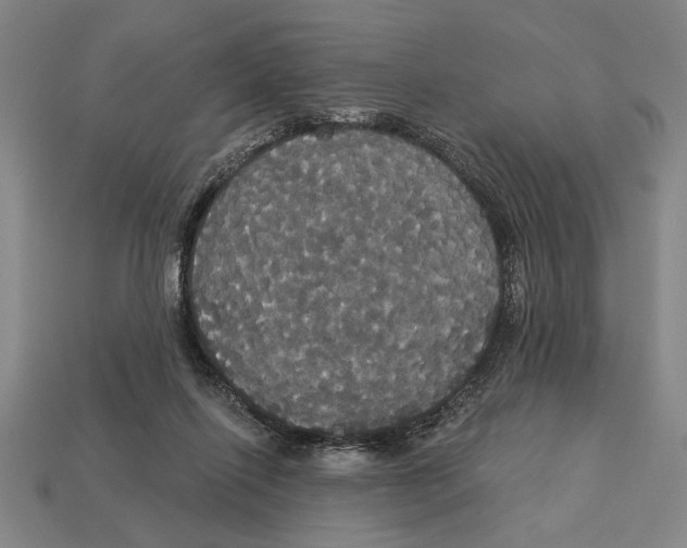 X0000113060262200909250914