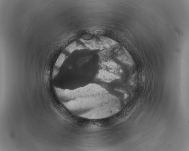 X0000113060263200909250915