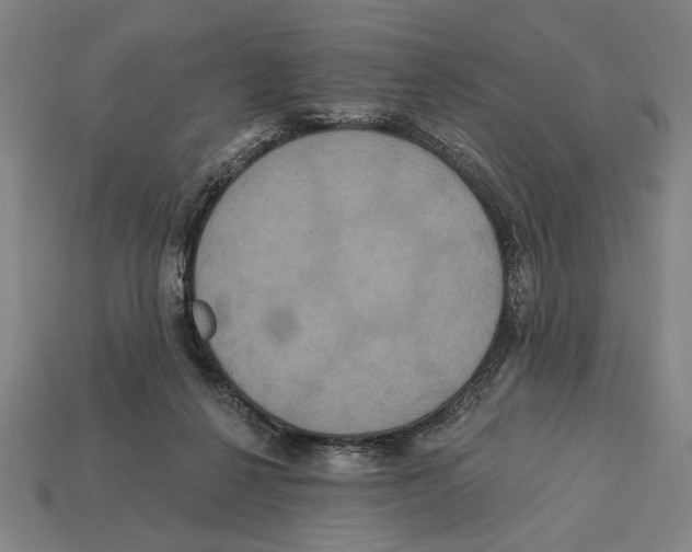 X0000113060264200909250915