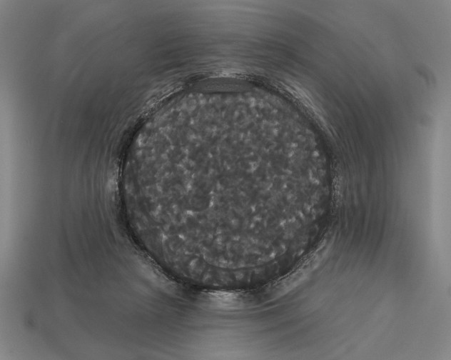 X0000113060265200909250915