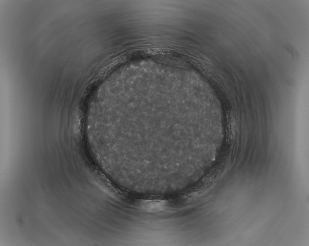 X0000113060266200909250915