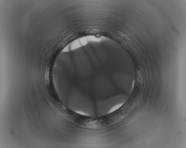 X0000113060267200909250915