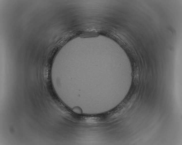 X0000113060268200909250915