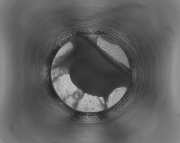 X0000113060270200909250915