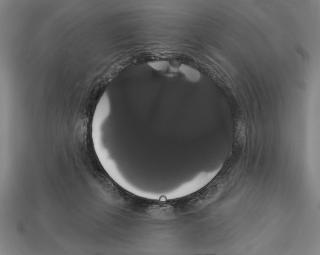 X0000113060271200909250915