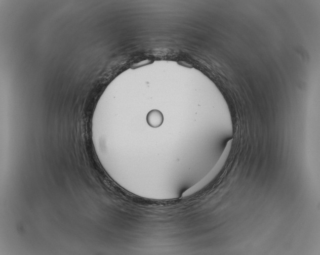 X0000113060272200909250915