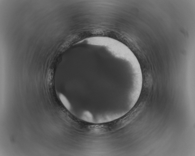 X0000113060273200909250915