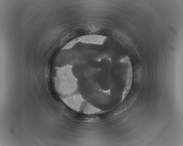 X0000113060274200909250915