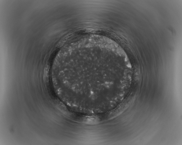 X0000113060275200909250915