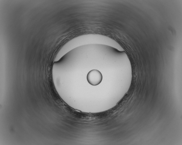 X0000113060276200909250915